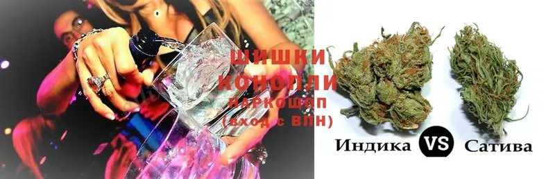 где продают наркотики  Болгар  Бошки Шишки SATIVA & INDICA 